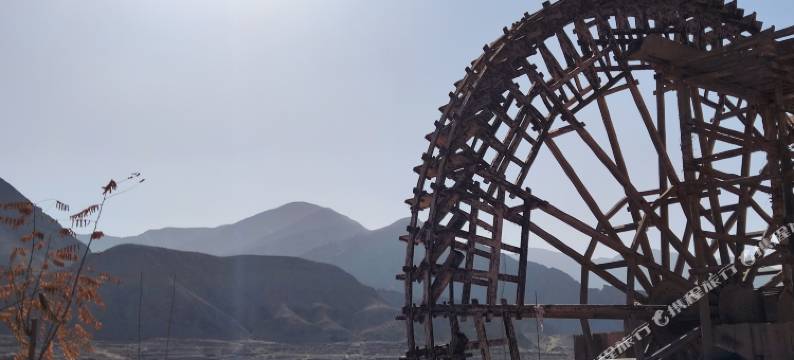 中卫金色田园农家图片