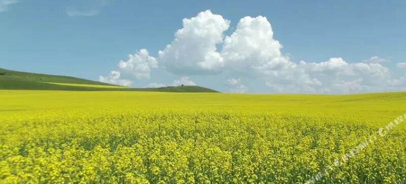 呼伦贝尔静园民宿(东山景区店)图片