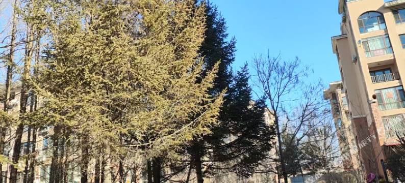 丹东五龙背温泉山庄温泉日租房图片