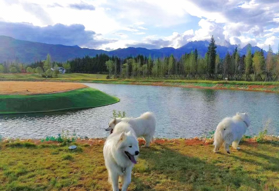 Yuanxiang Lijiang HostelHotel Overview