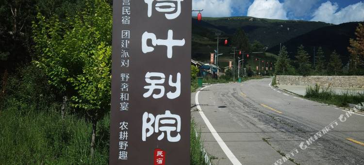 荷叶别院图片