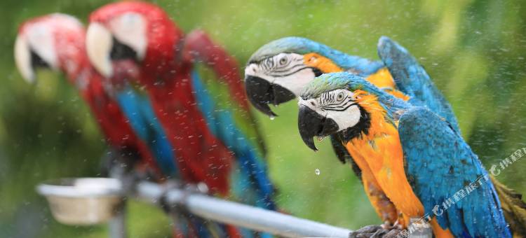竹泉村精品民宿酒店(竹泉村景区店)图片