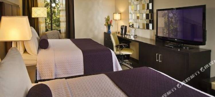 Crowne Plaza 西沙芬莫奥皇冠假日酒店(Crowne Plaza Suffern-Mahwah)图片