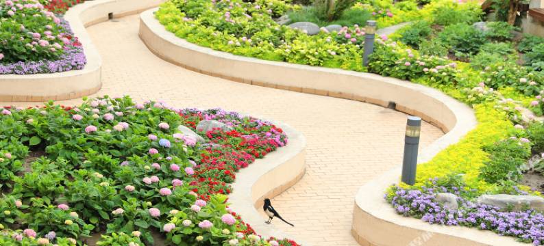 北京华威商务酒店图片