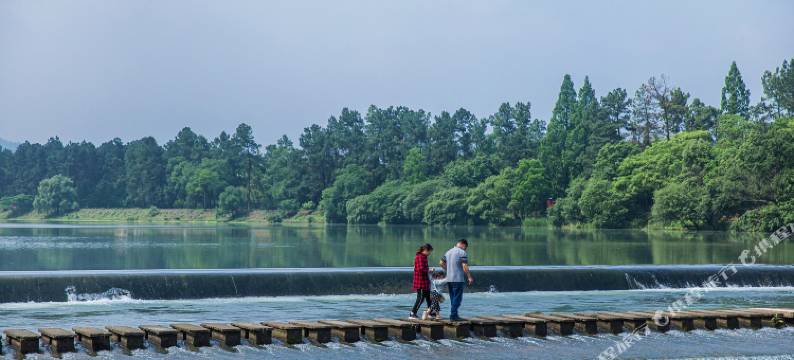 安吉绿竹桃园民宿(竹博园店)图片