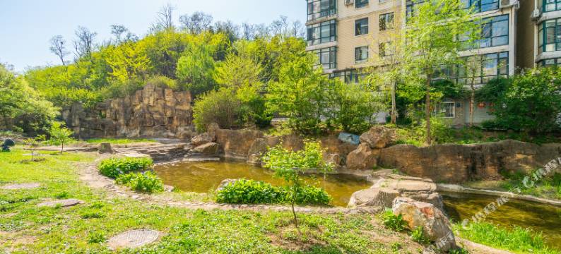 丹东浪漫满屋公寓图片