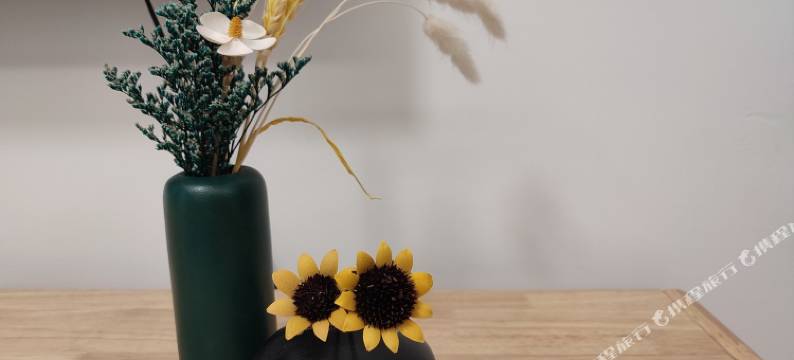 北海小悠511公寓图片