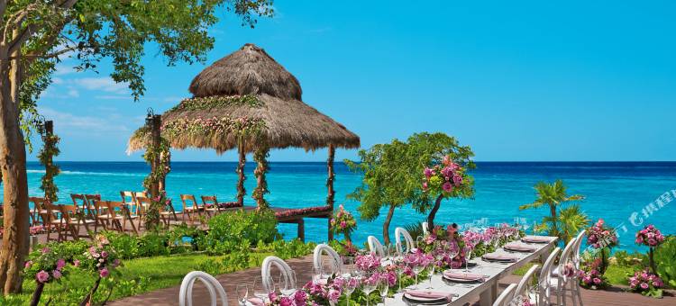 科苏梅尔梦想度假村及水疗中心(Dreams Cozumel Cape Resort & Spa)图片