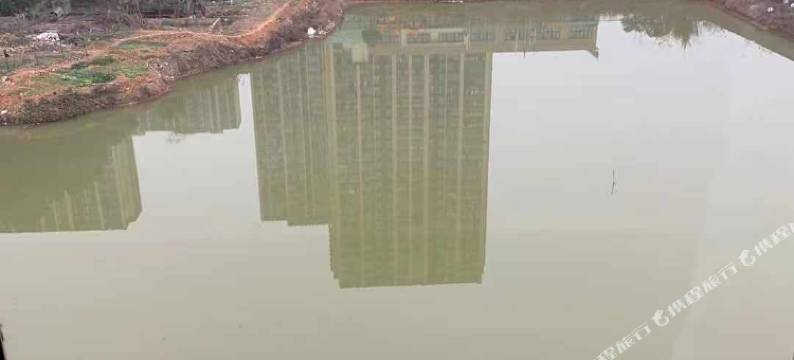 麗枫酒店(武汉大花岭东湖学院店)图片