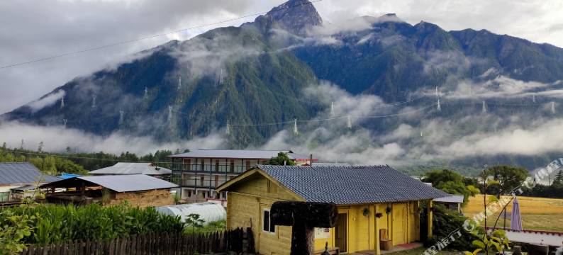 波密云杉居民宿(岗云杉林景区店)图片