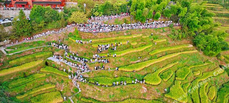云和梯田古堡农家乐图片