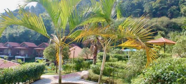 四会山湖生态旅游度假村图片