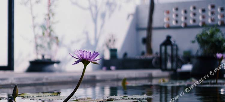 佛山情怀故事民宿(顺德华侨城欢乐海岸PLUS店)图片