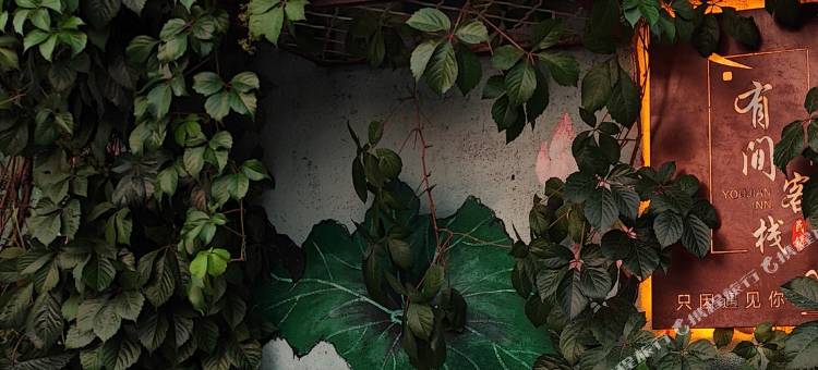 涞源有间客栈图片