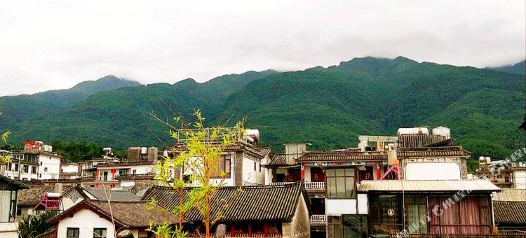 大理百合国际青年旅舍(大理古城店)图片