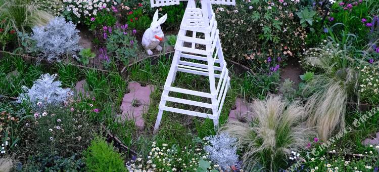 花筑·老木匠villa民宿图片