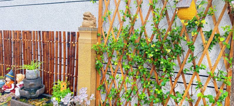 听风·汴梁闲庭 Mansion 休闲度假民宿图片