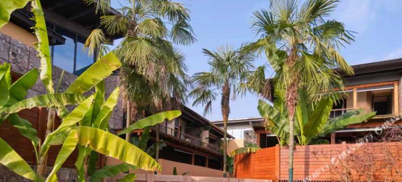 安之慕舍私汤民宿图片