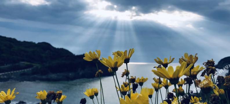 舟山白沙渔舍民宿图片