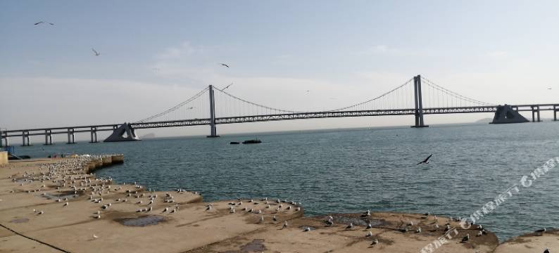 大连星海大观酒店公寓图片