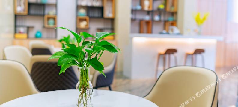 长风未来国际公寓(广州新塘站永旺梦乐城店)图片