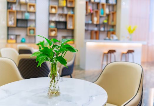 Changfeng Future Apartment Hotel Hotel Overview