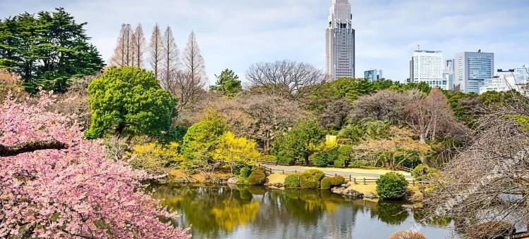新宿御苑 书茶床(Book Tea Bed Shinjuku-Gyoen)图片