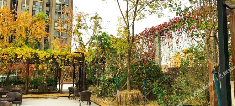 秋果酒店(北京西站丽泽商务区店)图片