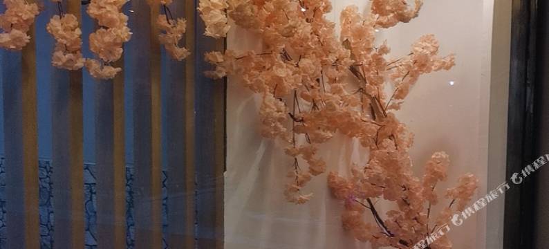 诺润四季酒店(上海海湾大学城店)图片