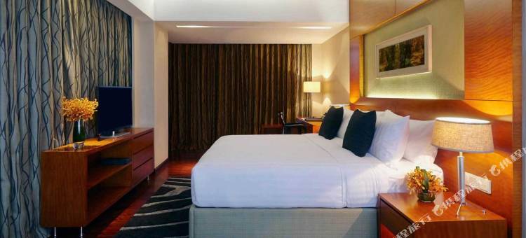 达卡阿玛瑞酒店(Amari Dhaka)图片