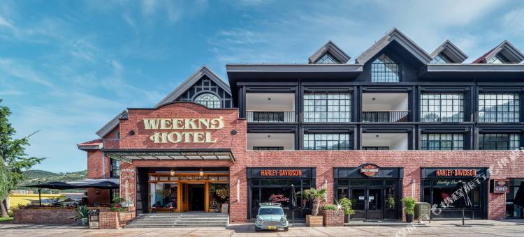 忙碌的考拉·Weeknd Hotel图片