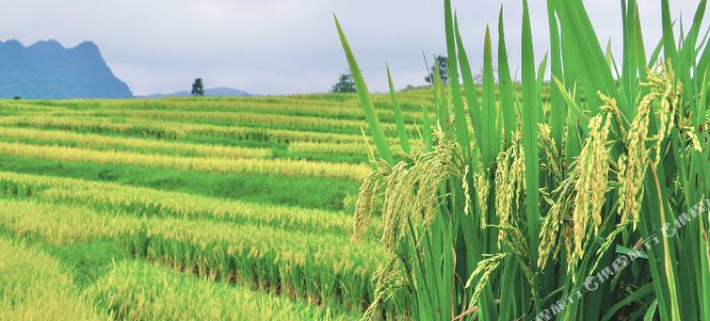 群山之心·甲乙民宿图片