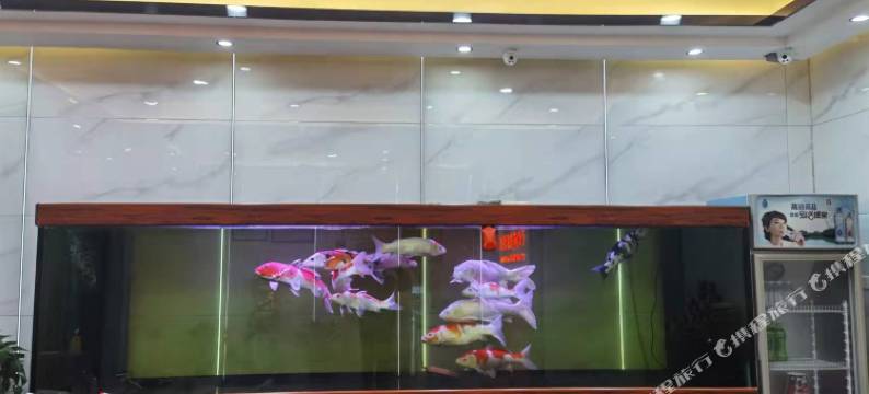 长城商务宾馆(东光车站店)图片