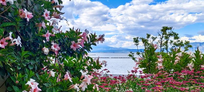 大理海之语海景酒店图片