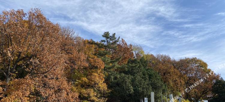 花筑·泰山橡薇民宿(红门登山口店)图片