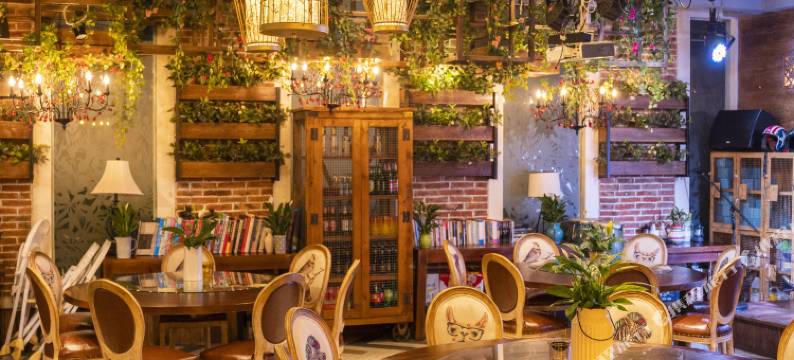 丽江春天里·站台艺术美宿图片