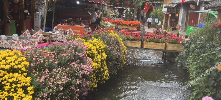 牛家大院设计师美宿(丽江古城大水车店)图片