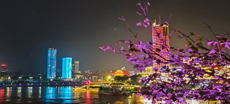 红卫宾馆(宜宾合江门大观楼店)图片