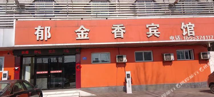 郁金香宾馆图片