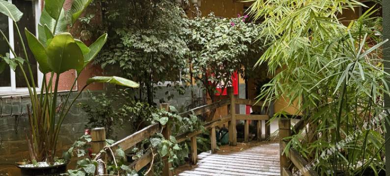 大理古城梵猫·轻客栈图片