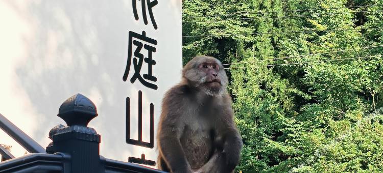 蓥华大峡谷银庭山庄图片