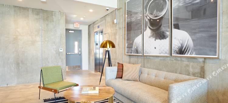 Sonder the Leo图片