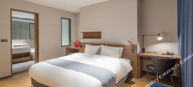 宜必思水原大使酒店(Ibis Ambassador Suwon)图片