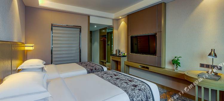 乌鲁木齐翼龙国际大酒店(乌鲁木齐高铁站自治区博物馆店)图片