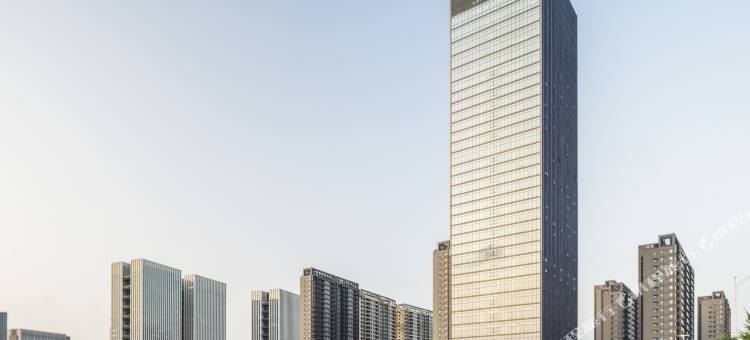 平湖卓越铂尔曼酒店图片