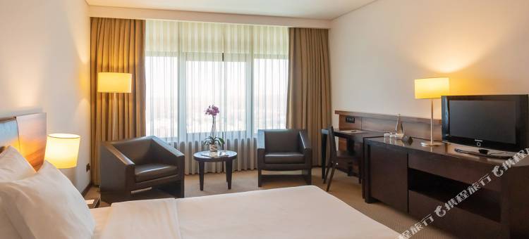 维塞乌蒙特贝洛国会酒店(Montebelo Viseu Congress Hotel)图片