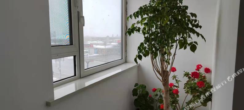 大连新东方商务宾馆图片