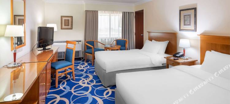 丽笙蓝标酒店-延布(Radisson Blu Hotel, Yanbu)图片