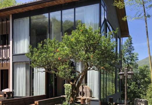 Fengxin Yangshan Lehuoju HomestayHotel Overview