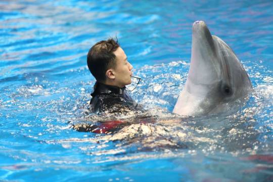 贵阳南明吉源希尔顿惠庭酒店图片